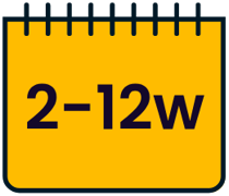 2 to 12 weeks after stopping smoking icon